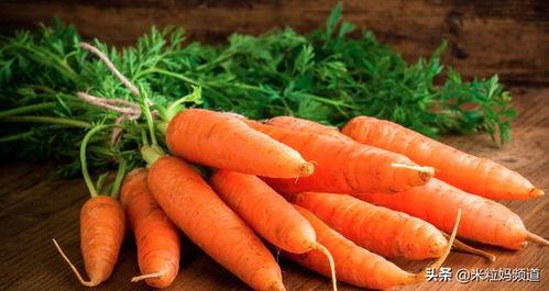 胡萝卜网红吃瓜,胡萝卜成新宠，揭秘网红美食背后的秘密
