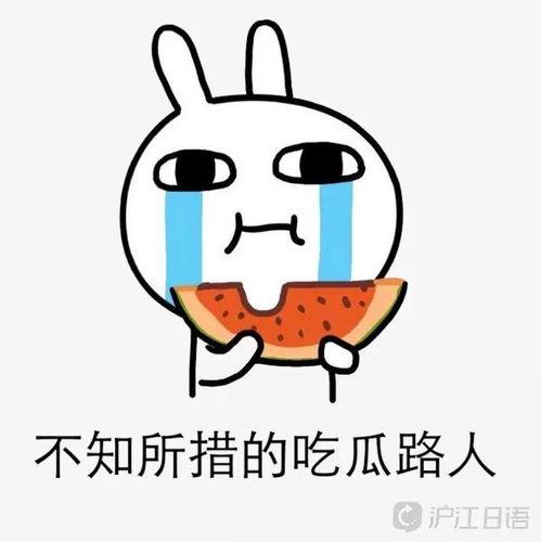 娱乐圈摆烂吃瓜动漫