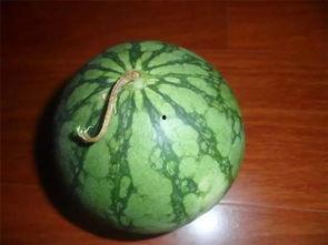 黑老吃瓜网,黑老吃瓜网带你领略幕后风云